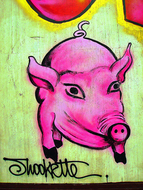 graffiti pig